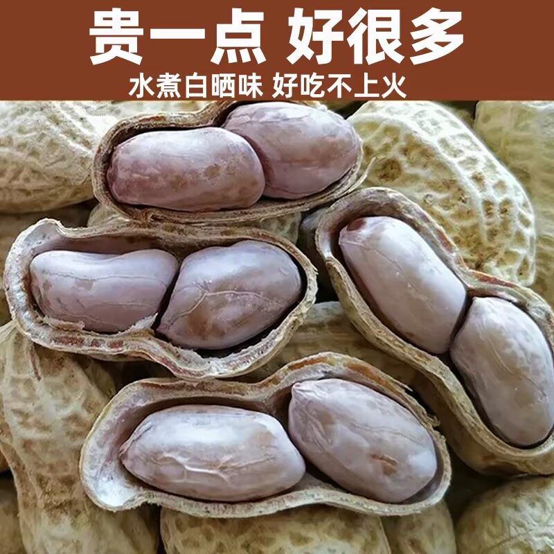 新正宗龙岩水煮花生白晒水煮咸干湿烤500gx2袋装散带壳熟零食特产