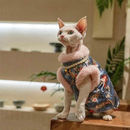 猫衣服新年新款金丝绒旗袍防舔抗起球加绒加厚喜庆德文无毛马甲