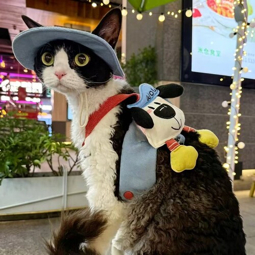 猫狗公仔牛仔带帽防晒胸背牵引绳
