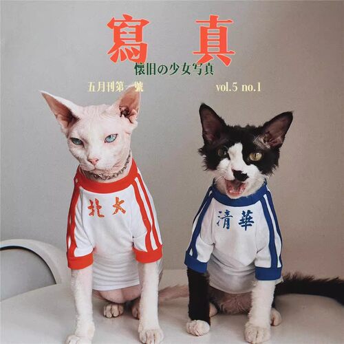夏季透气无毛猫薄款短袖T恤