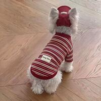 Dog clothing, autumn hooded striped base shirt, Schnauzer, West Highland Yorkshire, cool pet clothing thumbnail 2