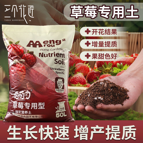 草莓专用营养土蔬菜种菜育苗土