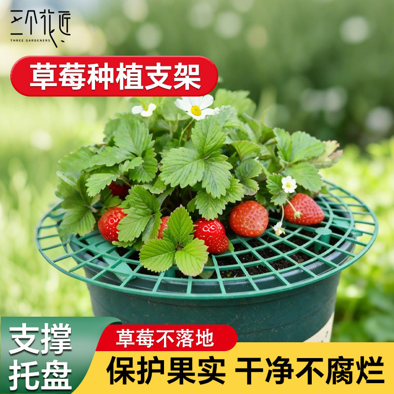 草莓支架托果网种植架立体栽培果苗支撑架保护果实防烂水培草莓架