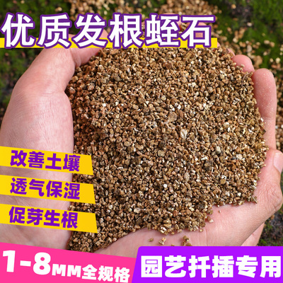蛭石扦插用养花专用珍珠岩颗粒乌龟蛋孵化育苗基质月季专用土种花