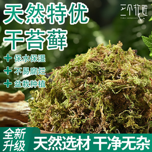 干苔藓水苔青苔专用营养土兰花蝴蝶兰石斛种植植料乌龟冬眠垫材