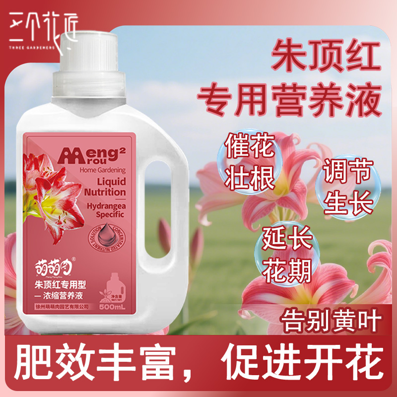 朱顶红专用营养液花肥料