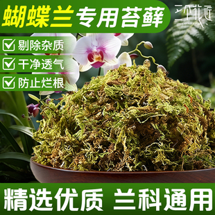 天然青苔优质干苔藓石斛兰种植苔藓乌龟冬眠垫材蝴蝶兰专用营养土