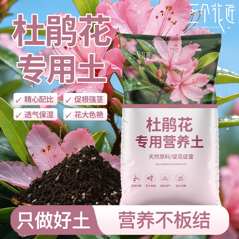 杜鹃花专用土养花专用种植土图片