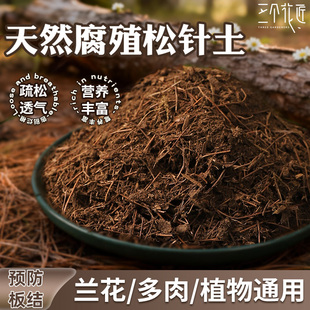 天然松针腐殖土纯泥炭腐叶腐熟君子兰花多肉营养土养花通用专用土