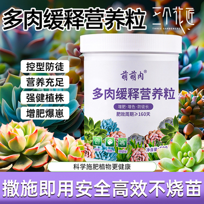 多肉缓释营养粒专用肥料