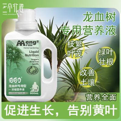龙血树专用肥料营养液