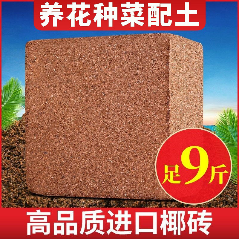 大块椰砖营养土通用型压缩耶砖种植种菜养花卉专用椰土椰糠粗椰壳,鲜花速递/花卉仿真/绿植园艺,土壤覆盖物,淘宝优惠券,粉丝福利购,淘宝优惠卷