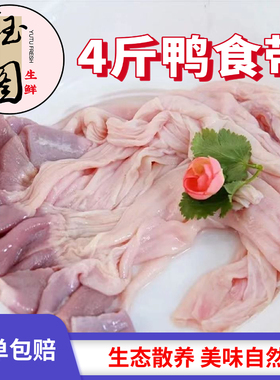 鸭食带冷冻批发鸭食管新鲜冷冻鸭郡把鸭胰胃特色小吃重庆火锅配菜