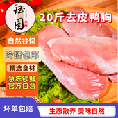 冷冻去皮鸭胸肉可代替猪肉烤串生鲜新鲜纯瘦肉烧烤鸭肉鸭脯肉