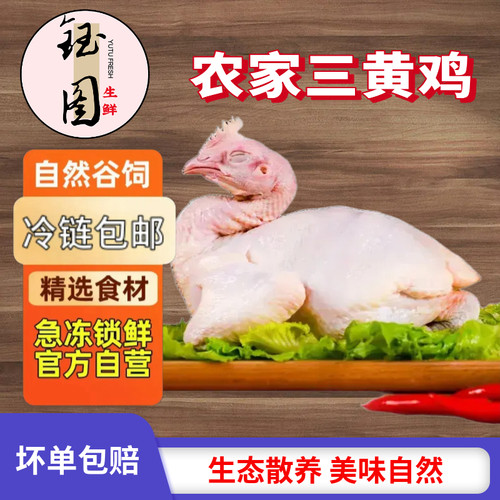 散养正宗黄油新鲜粮食东北土鸡