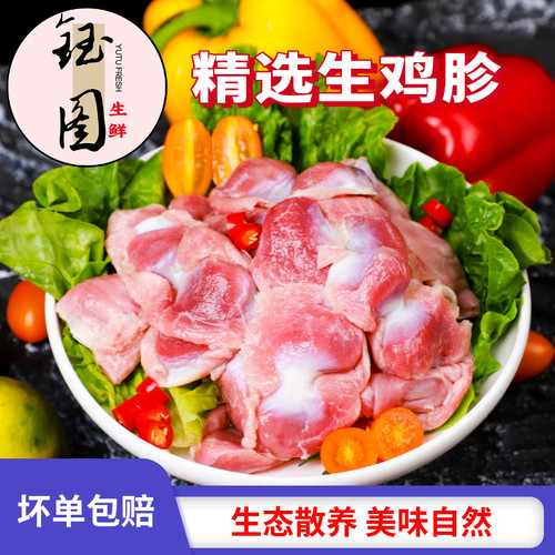新鲜鸡胗无冰无肚食材商用生鲜