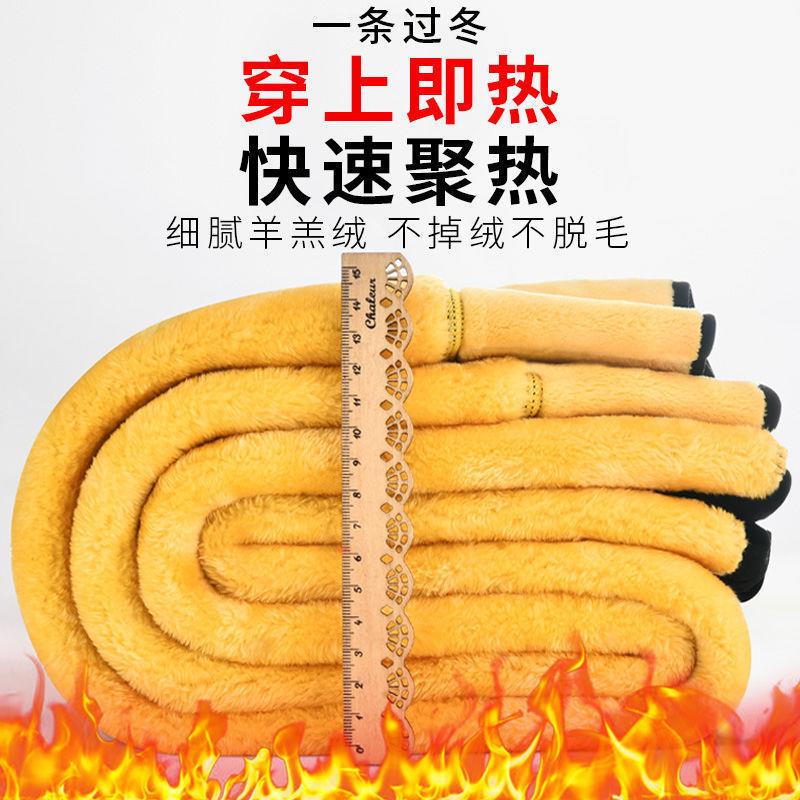 冬季棉裤女加绒加厚打底裤女士外穿羊羔绒超厚保暖高腰特厚裤子