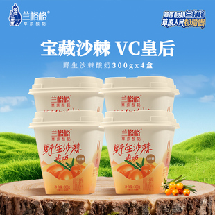 【新品】兰格格草原酸奶野生沙棘味300g*4杯0蔗糖低温活菌酸奶