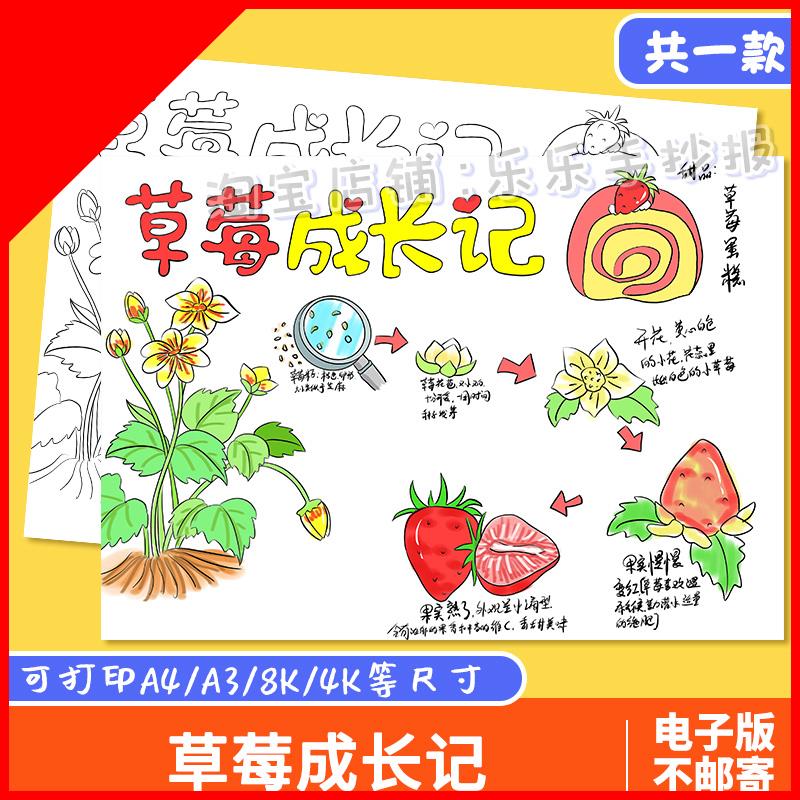 可打印草莓生长记手抄报模板学生记录观察植物成长自然笔记电子版