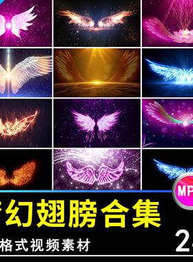 唯美卡通梦幻翅膀飞翼粒子晚会舞蹈LED大屏幕背景短片视频素材