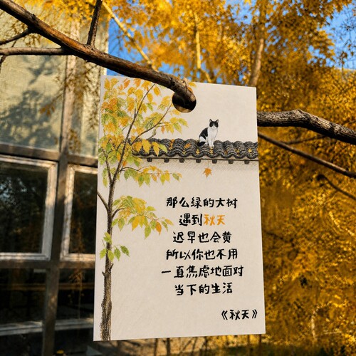 升级加厚0.8cmins风文字挂树牌