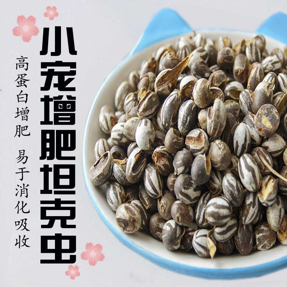 坦克虫杨拉罐仓鼠金丝熊松鼠蜜袋鼯刺猬花枝鼠零食粮食增肥营养图片