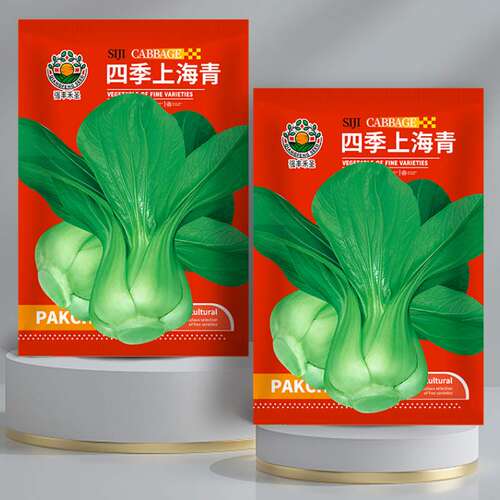 四季上海青种子小青菜油菜籽种蔬菜种籽孑冬天大全矮脚黑叶苏州青