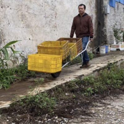 直销移动金属两支架结构折叠拖车钢牛牌果园小鸡公车独轮手农用