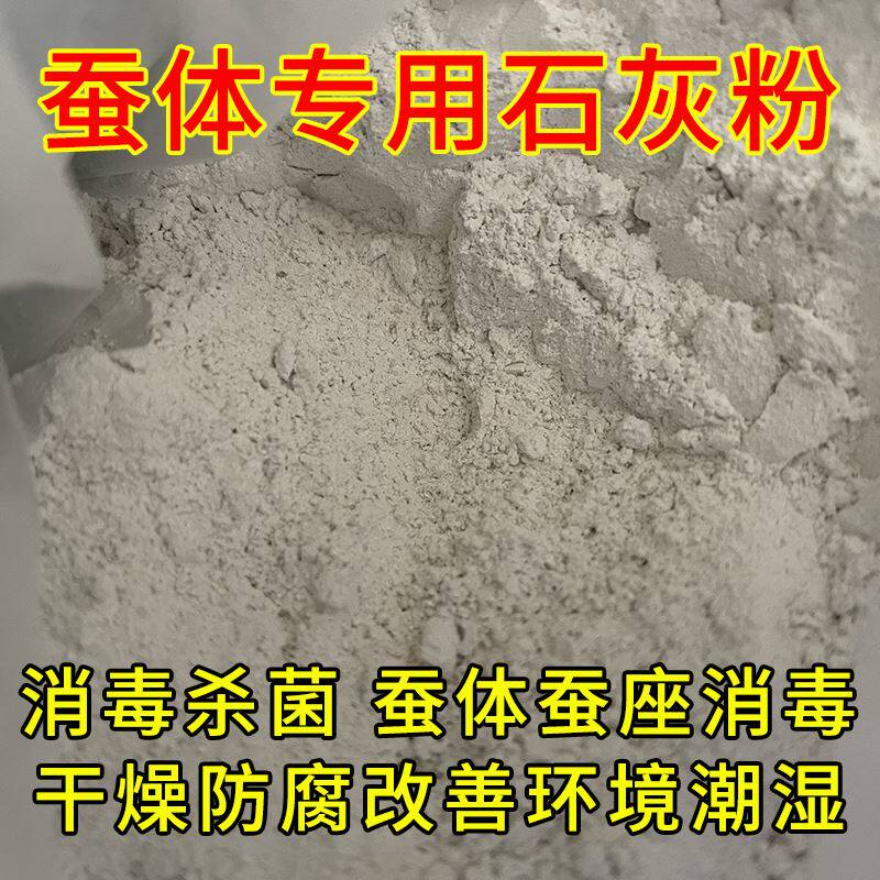 蚕宝宝专用石灰粉小蚕宝实用工具消菌杀毒防潮养蚕病脱皮清理卫生图片