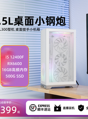闪鳞L300显卡核显主机立式便携提手miniITX桌面台式机小钢炮电脑