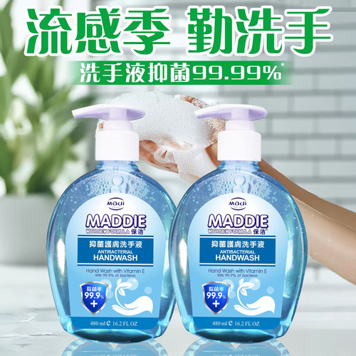 保洁抑菌护肤洗手液480ml按压