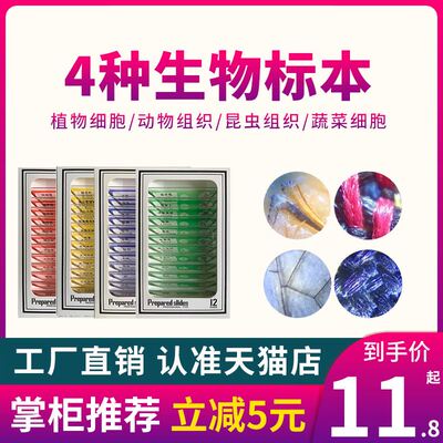 baee显微镜配件标本套装生物观察切片植物昆虫动物实验细胞载玻片