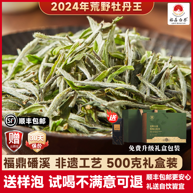 年前囤茶！福鼎荒野牡丹王