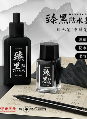 鸵鸟墨水臻黑防水墨液自来墨毛笔钢笔式软毛笔专用秀丽笔练字小楷