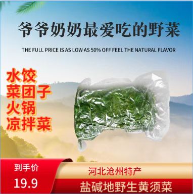 河北野菜黄须菜碱蓬水饺馅火锅菜