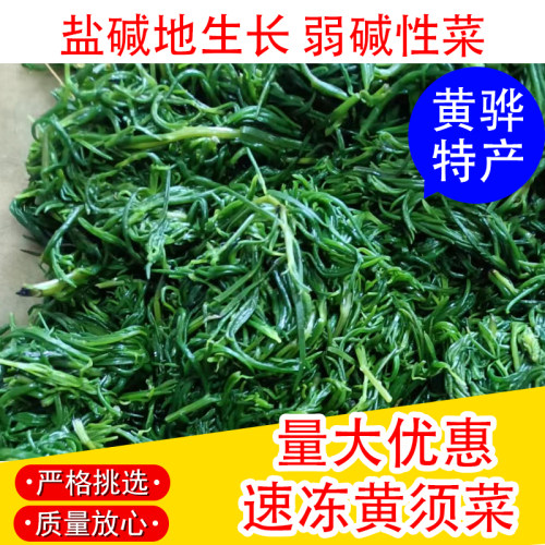 野菜黄须菜凉拌菜水饺馅火锅食材