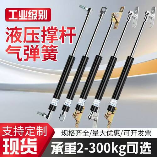 FGSS 22200B 22200C 22250A 22250B 22250C 22300A 22300B 气弹簧