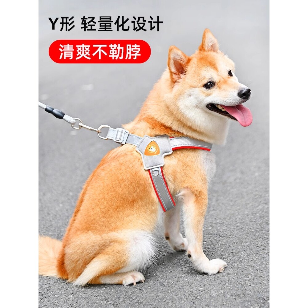宠物牵引绳胸背带背心式遛狗绳子