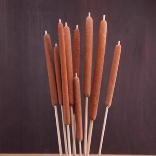 天然香蒲棒干花家居装饰摆件摄A影道具水蜡烛风干植物干枝蒲绒安