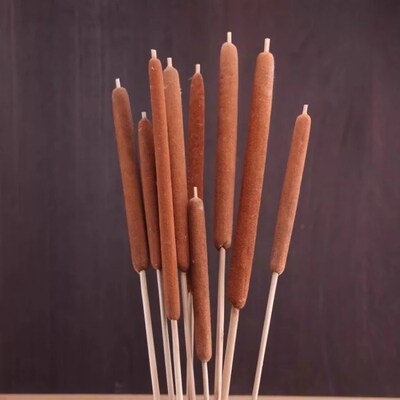 天然香蒲棒干花家居装饰摆件摄A影道具水蜡烛风干植物干枝蒲绒安