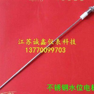 全不锈钢4分锅炉水位电极棒水位探针1寸探头水位S感应针水位控制