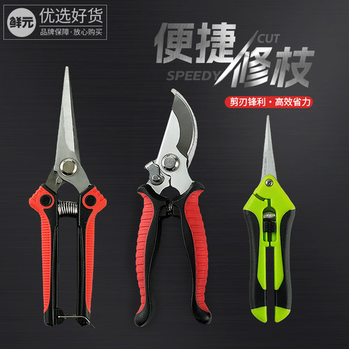 采果剪子葡萄水h果专用剪刀弹簧剪修花梳果剪刀树枝稀疏果摘果小