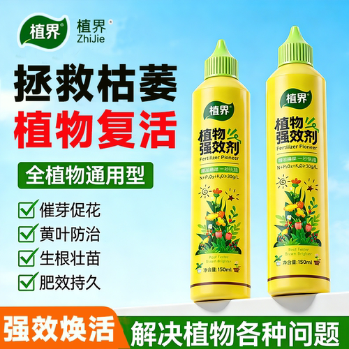 植物强效剂发财树幸福树