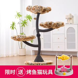 catry凯瑞虎纹花朵猫爬架