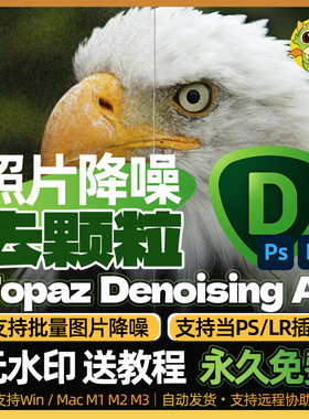 Topaz DeNoise AI图片一键降噪点软件ps/lr插件去杂色颗粒win/m
