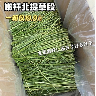 福利品不换烘干北提摩西嫩杆磨牙宠物高粗纤维兔子豚鼠牧草