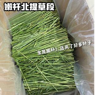 2025年优质提摩西头茬嫩杆全杆兔子荷兰猪龙猫磨牙草垫料零食宠物