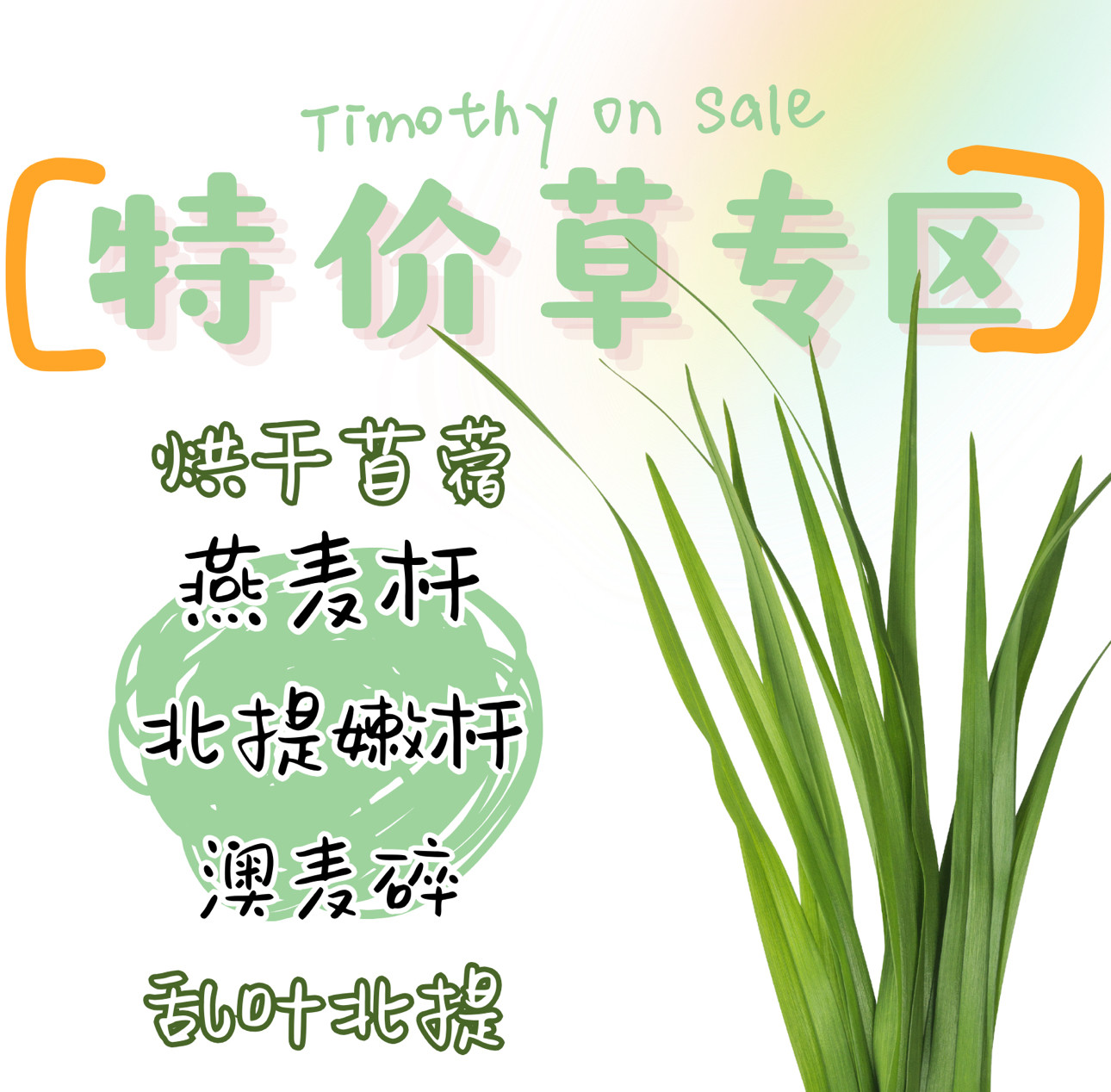 特价不换燕麦澳麦苜蓿北提干草兔兔荷兰猪主草