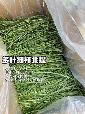 积木兔屋多叶版烘干头茬北提幼兔提摩西草兔子粮草箱装荷兰猪龙猫