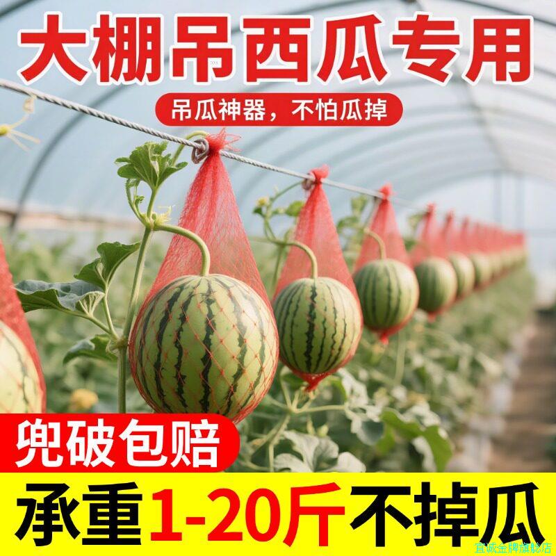 特厚大棚吊西瓜专用网兜吊哈密瓜南瓜网袋装甲鱼的小网眼袋子批*